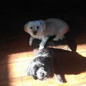 Meet your Posher, Cheryl